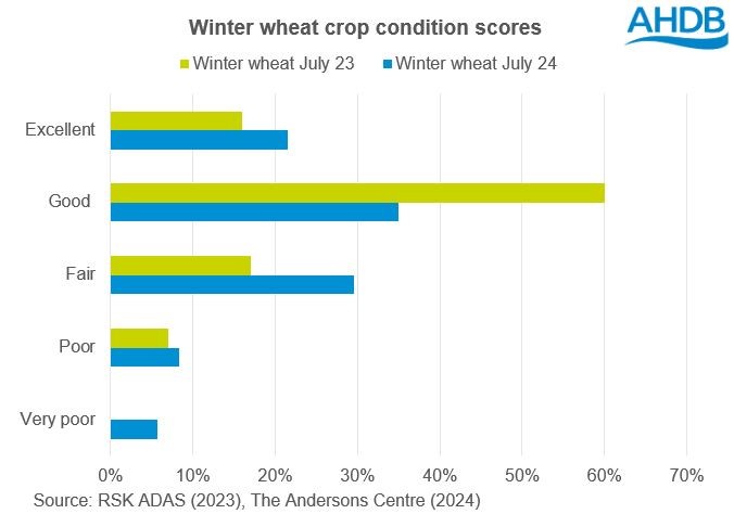 Chart of GB winter wheat crop conditions scores at the start of July 2024